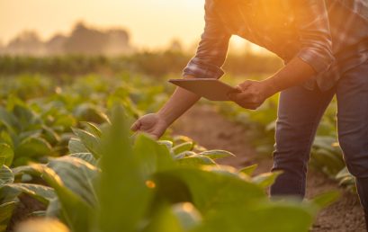 Curso Seguridad Laboral y Prevención de Riesgos Agrícolas