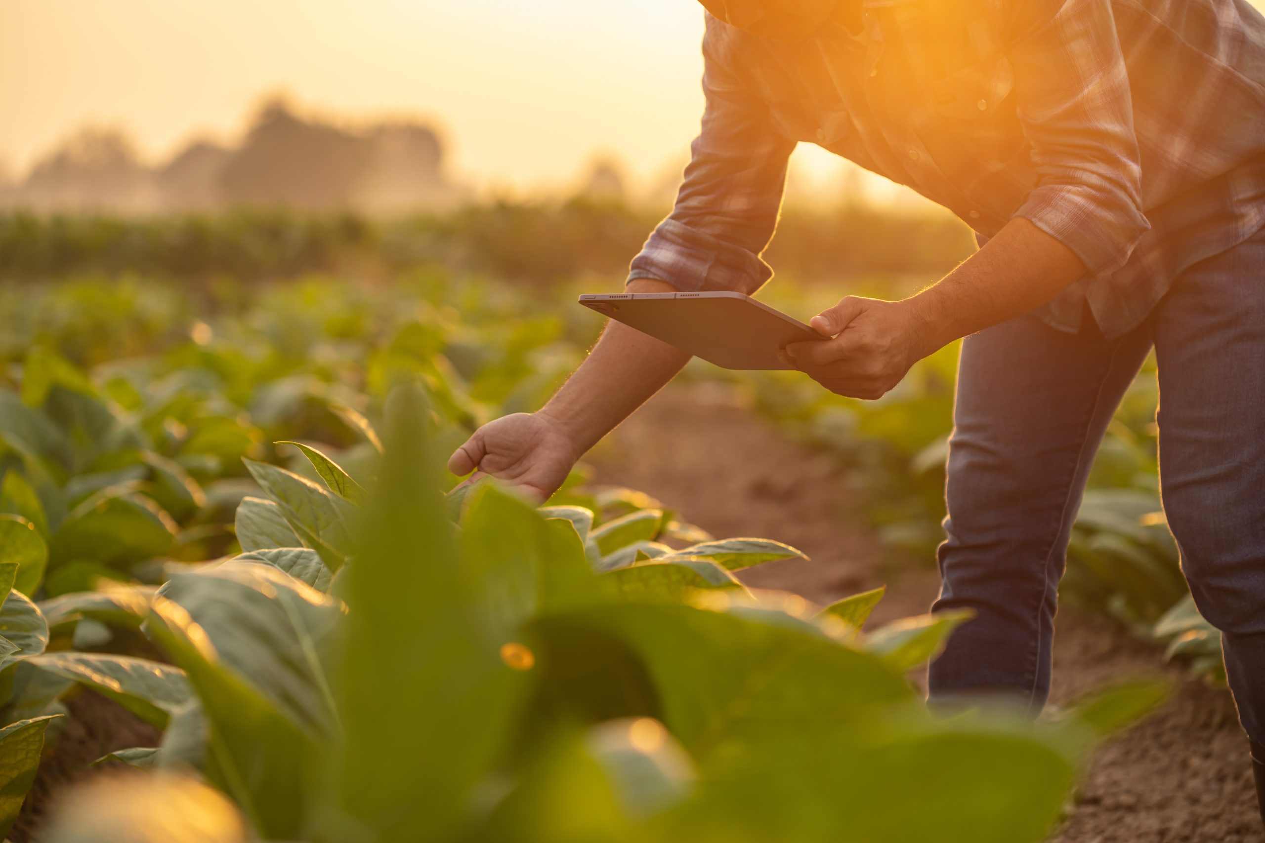Curso Seguridad Laboral y Prevención de Riesgos Agrícolas