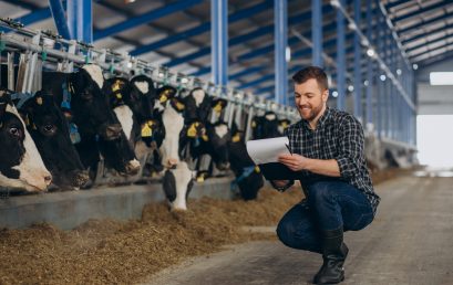 Curso Manejo de Ganado y Producción Animal