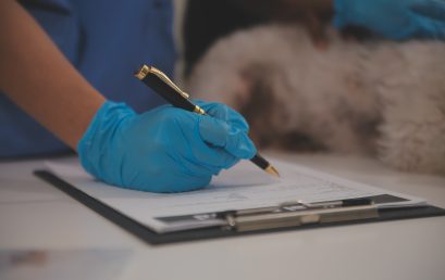 Curso Peritaje Veterinario y Evaluación del Maltrato Animal