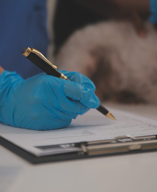 Curso Peritaje Veterinario y Evaluación del Maltrato Animal
