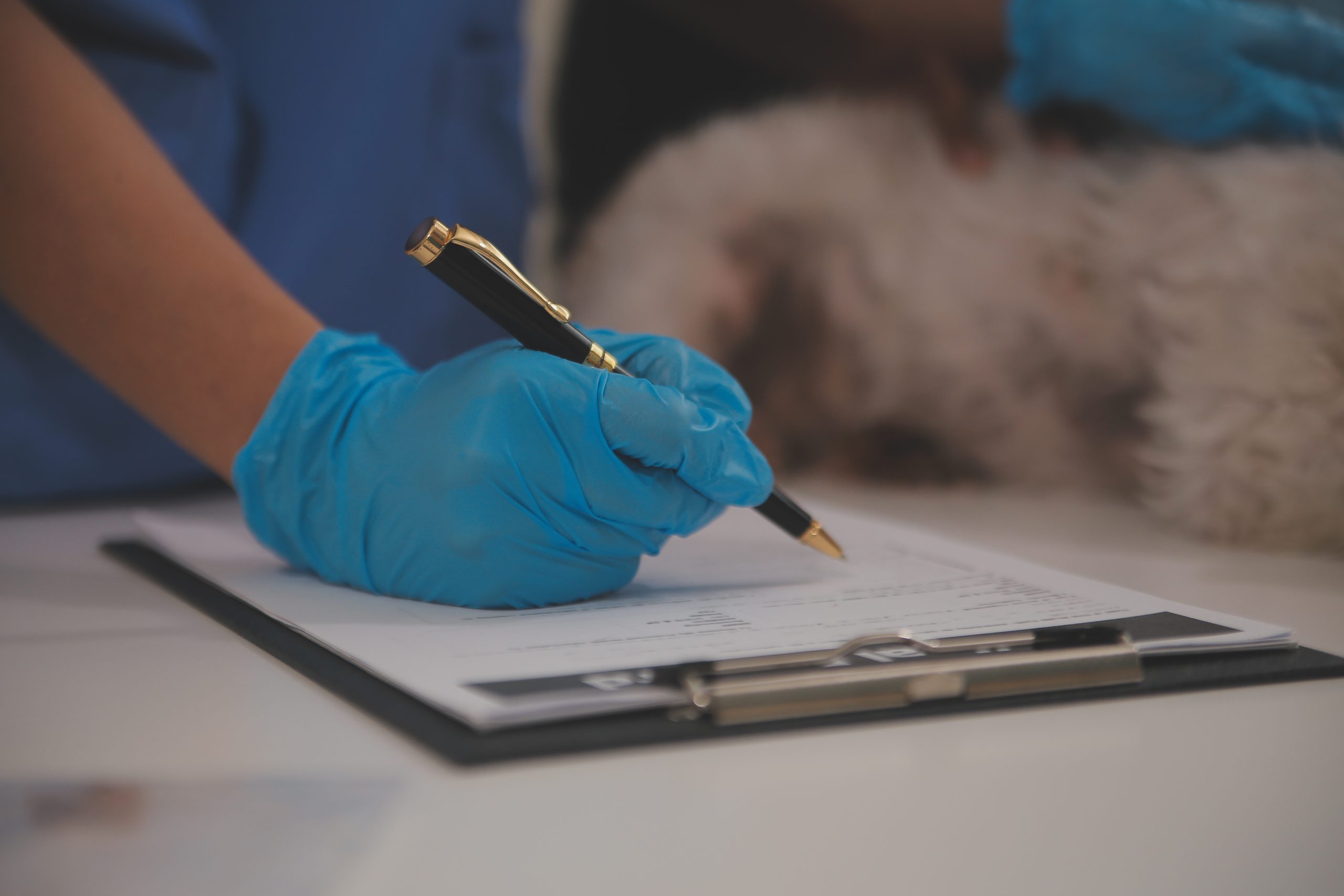 Curso Peritaje Veterinario y Evaluación del Maltrato Animal